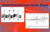 Transmembrane Ionic Flow - Electromedicine › wp-content › ... · Most Used References • Becker, R.O. & G. Selden. 1985. The Body Electric: Electromagnetism and the Foundation