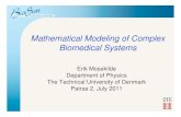 Mathematical Modeling of Complex Biomedical Systems · Mathematical Modeling of Complex Biomedical Systems Erik Mosekilde Department of Physics The Technical University of Denmark