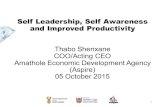 Self Leadership, Self Awareness and Improved Productivity Self Leadership, Self Awareness and Improved