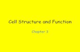 Cell Structure and Function - Weebly...Cell Structure and Function Chapter 3 CELL THEORY 3.1 Key Concept •Cells are the Basic unit of life Cell Theory •Due to the invention and
