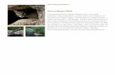Annual Report 2016 - Arizona-Sonora Desert MuseumAnnual Report 2016 The Arizona Sonora Desert Museum is a non profit institution fully dedicated to conservation and research of the