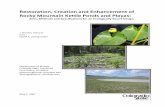 Restoration, Creation and Enhancement of Mountain Kettle ... › download › documents › cwic... · and project goals for most Colorado wetland types. This report represents a