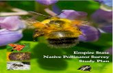 Empire State Native Pollinator Survey Study Plan · 2018-04-05 · ii Empire State Native Pollinator Survey Study Plan June 2017 Matthew D. Schlesinger Erin L. White Jeffrey D. Corser