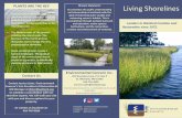 PLANTS ARE THE KEY Living Shorelines - wetland.orgPermit applications are filed with the appropriate Federal, State, and local agencies. With permits in hand, the restoration crews