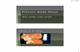 Picture Slide Show - Sinoe Medical Associationsinoemedicalassociation.org/AP2/cardiopicstudents.pdf3/17/2009 9 1. Right brachial vein 2. Right axillary vein 3. Right axillary artery