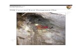 Wild Caves and Karst Management Plan - npshistory.comnpshistory.com › ... › caves-karst-mgt-plan-draft-2019.pdf · The Wild Caves and Karst Management Plan (WCKMP) guides management