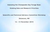Assessing the Chesapeake Bay Forage Base: …...Assessing the Chesapeake Bay Forage Base: Existing Data and Research Priorities Scientific and Technical Advisory Committee Workshop