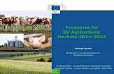 Prospects for EU Agricultural Markets 2014-2024 › resources › docs › presentation... · 2015-01-27 · Prospects for EU Agricultural Markets 2014-2024 Pierluigi Londero DG Agriculture