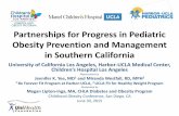 Partnerships for Progress in Pediatric Obesity Prevention ...childhoodobesity2015.com › docs › uploads › WS3.7.Yee,J... · Partnerships for Progress in Pediatric Obesity Prevention