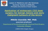 Lasers in Medicine and Life Sciences Summer School (LAMELIS), · 2019-07-17 · Lasers in Medicine and Life Sciences Summer School (LAMELIS), Principles and practice of laser surgery