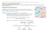 PRINCIPLES OF METABOLISMmcb.berkeley.edu/labs/krantz/mcb102/lect_S2008/MCB... · Metabolism Lecture 6 — GLYCOGEN METABOLISM — Restricted for students enrolled in MCB102, UC Berkeley,