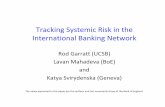 Tracking Systemic Risk in the International Banking Networkecon.ucsb.edu/~garratt/faculty/UCSBstats.pdfTracking Systemic Risk in the International Banking Network Rod Garratt (UCSB)