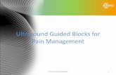 Ultrasound Guided Blocks for Pain Managementanestezjologiaregionalna.pl/wp-content/uploads/... · 3D Rendered Image Vertebral Artery Internal and Confidential. Bony Landmarks C7 –Landmark