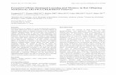 Prenatal Caffeine Damaged Learning and Memory in Rat ... · Prenatal exposure to caffeine can cause developmental problems. This study determined chronic influence of prenatal caffeine