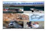 NATURE’S NEWSLETTER · and dolphins on display there needs to be an intermediate step. Captive breeding must end. But even though SeaWorld has stopped breeding orcas, the remaining