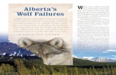 Alberta’s W Wolf Failures · Wolf Matters () Canadian naturalist and hunter Kevin Van Tighem is the award-winning author of several books and more than 200 articles, stories and