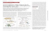 Transcriptome-wide isoform-level dysregulation in …...Transcriptome-wide isoform-level dysregulation in ASD, schizophrenia, and bipolar disorder Michael J. Gandal*, Pan Zhang, Evi