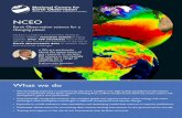 What we do - gov.uk · Earth Observation science for a changing planet NCEO is a Natural Environment Research Council (NERC) research centre bringing together over 100 scientists