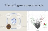 Tutorial 3: gene expression table · Gene Set Enrichment Analysis (GSEA) •GSEA is a computational method for determining if the expression of a set of genes (biological pathways,