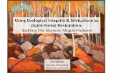 Using Ecological Integrity & Silviculture to Guide …...Using Ecological Integrity & Silviculture to Guide Forest Restoration: Tackling the Norway Maple Problem Eric Davies Faculty