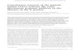 Constitutive mutants of the protein kinase STEll …genesdev.cshlp.org/content/6/7/1293.full.pdfConstitutive mutants of the protein kinase STEll activate the yeast pheromone response