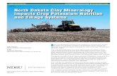 North Dakota Clay Mineralogy Impacts Crop …North Dakota Clay Mineralogy Impacts Crop Potassium Nutrition and Tillage Systems (SF1881) • 3 In montmorillonite, isomorphic substitution