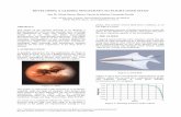 DEVELOPING A GLIDING SPACECRAFT TO FLIGHT OVER TITAN › pac-symposium2009 › proceedings › paper… · DEVELOPING A GLIDING SPACECRAFT TO FLIGHT OVER TITAN Jose M. Giron-Sierra,