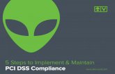 5 Steps to Implement & Maintain PCI DSS Compliancedocs.media.bitpipe.com › ... › AV-PCI-DSS-Compliance.pdf · 2015-10-13 · Security Standard (PCI DSS) compliance can be both