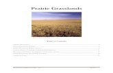 Grasslands and Prairie › WGFD › media › content › PDF › Habitat... · Prior to European settlement, fires on the Great Plains occurred at intervals of approximately 2–
