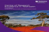 Centre of Research Excellence in Telehealth › files › 675 › ... · 4 Centre of Research Excellence in Telehealth - Final Report The Team - Chief Investigators Professor Len