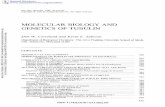Molecular Biology and Genetics of Tubulincmm.ucsd.edu/cleveland/DWC Journal s/1985... · 2020-01-16 · MOLECULAR BIOLOGY OF TUBULIN 335 chemical crosslinking studies (39), optical