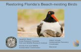 Restoring Florida’s Beach-nesting Birdsamoywg.org › wp-content › uploads › 2016 › 12 › FL-BNB_Schulte_Brus… · Restoring Florida’s Beach-nesting Birds Janell M. Brush