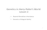 Genetics in Harry Potter’s World Lesson 2 - harry potter... · Codominance • Codominance results in a phenotype that shows both traits of an allele pair. Ex., Red flower + White