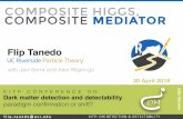 COMPOSITEHIGGS, COMPOSITE MEDIATORonline.itp.ucsb.edu/online/cdm-c18/tanedo/pdf/Tanedo_CDM18Conf_… · COMPOSITE MEDIATOR COMPOSITEHIGGS, ... Minimal Composite Higgs Next-to-Minimal