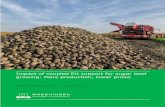 Impact of coupled EU support for sugar beet growing: More …€¦ · 7.5 Recommendations 43 References and websites 45 Appendix 1 Sugar beet areas in the EU in different MSs over