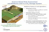 Science-Based Risk Assessment and Wellbores and in a CO2 ... · Science-Based Risk Assessment and Wellbores and in a CO 2 Storage System ... Combination of Field, Experiment, Theory,