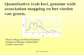 Quantitative trait loci, genome wide association mapping ... GWAS (Genome wide association mapping)