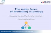 The many faces of modelling in biology...Introduction to modelling in biology, Babraham Institute, 24 November 2016 The many faces of modelling in biology Nicolas Le Novère, The Babraham