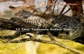 12 Days Tanzania Safari Tour - Karell Africa › safaris › 12-Days-Tanzania-Safari.pdfDay 10: SAND RIVERS SELOUS Jump into the boat for a whizz up the river to Stiegler’s Gorge.