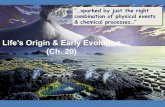 Life’s Origin & Early Evolutionjkilfoyle.weebly.com › uploads › 1 › 2 › 2 › 8 › 12288004 › bio... · Protista Plantae Fungi Animalia 4500 4000 3500 3000 2500 Oldest
