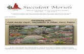 Succulent Morselschinlecactusclub.org/wp-content/uploads/2015/06/Newsletter-2017-0… · To promote knowledge, enjoyment, cultivation, and conservation of cacti and other succulent