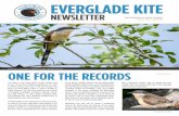 EVERGLADE KITE · groups of birders throughout Florida - Ft. DeSoto, the Keys, North Florida - and the tropics -Jamaica, Belize and more. She calls her trips “INTENSE BIRDING for