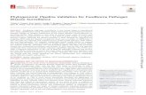 Phylogenomic Pipeline Validation for Foodborne Pathogen ... · and bacterial foodborne pathogens (19–21). All three projects have publicly available genomic databases, however,
