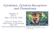 Cytokines, Cytokine Receptors and Chemokines · •Role of cytokines in inflammation (Chapt. 4 and 14) End Part 1 . Chapter 4 . Part 2 . Sept. 15 & 20, 2016 . Sharon S. Evans, Ph.D.