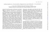 Absorption ofproteindigestion products: Areview · concept of the absorption of proteins and their digestion productshasbeeninitiated byanimprove-ment in analytical techniques or