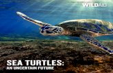 SEA TURTLES - LegCo€¦ · SEA TURTLES 03 EXECUTIVE SUMMARY Around the world, sea turtles are revered for their beauty and celebrated as one of Earth’s oldest creatures: The seven