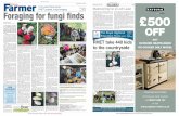 In this week’s lifestyle section: RHET update, fungi ...€¦ · Hedgegrows, mushrooms and seashore, all by John Wright Foraging, self sufficiency, David Squire Wild mushrooms of