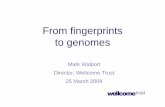 From fingerprints to genomes - St Marylebone School › pdf › sixth › Mark Walport... · 2009-03-26 · From fingerprints to genomes Mark Walport Director, Wellcome Trust 25 March