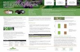 EFAO ResearchPoster 2018 Comfrey · EFAO_ResearchPoster_2018_Comfrey.indd Created Date: 11/30/2018 3:13:52 PM ...