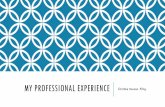 MY PROFESSIONAL EXPERIENCE - Engineeringrhabash/ELG3336CMoussaPresentation.pdf · ROAD TO BECOMING A PROFESSIONAL ENGINEER (P.ENG.) Application Process Professional Practice Exam